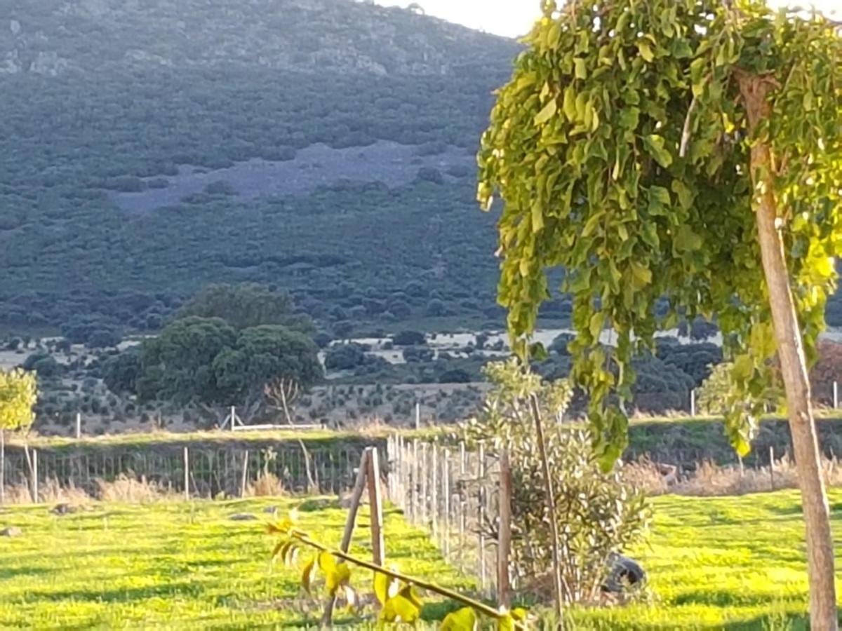 Finca La Rinconada Calamonte Exterior foto